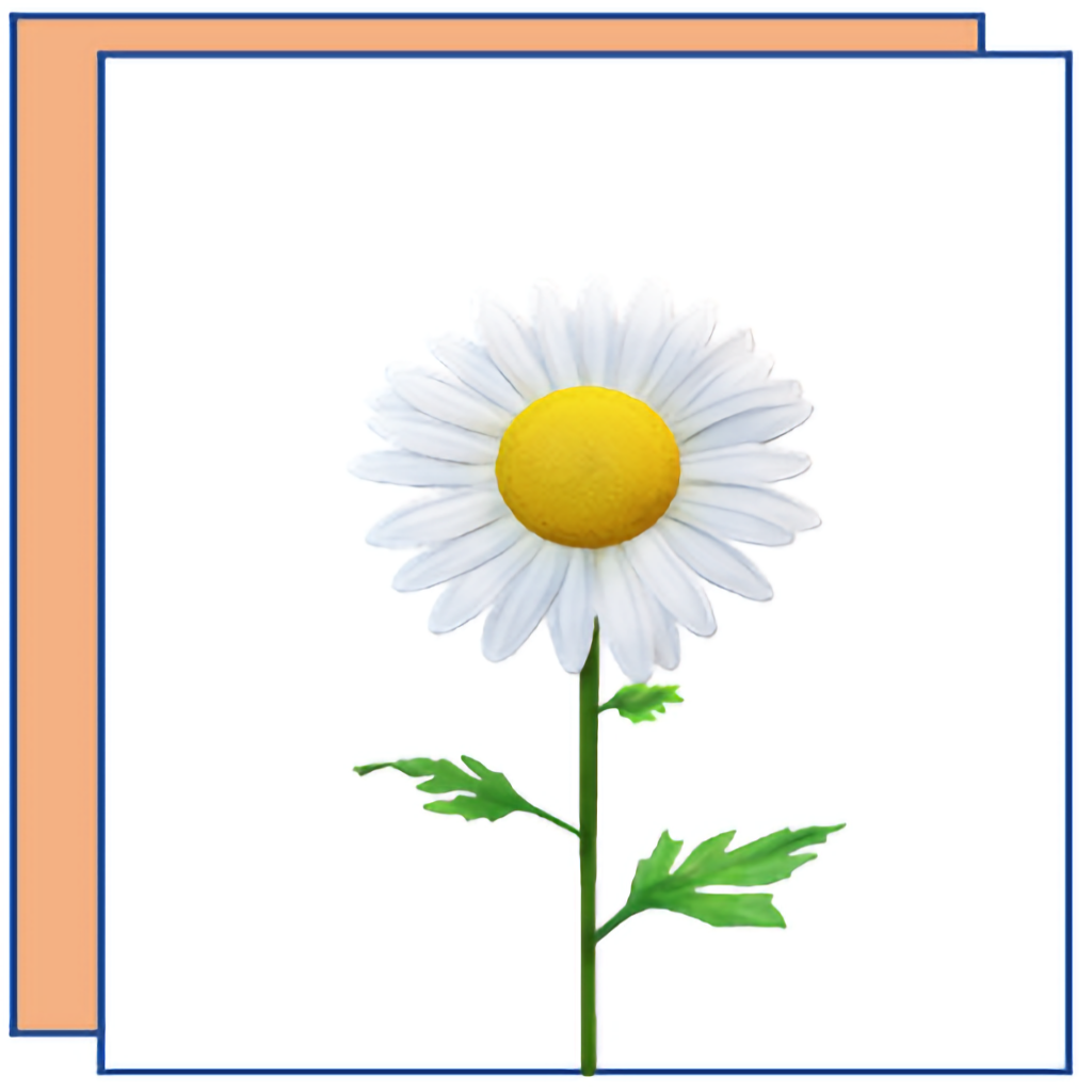 Grußkarten Greeting cards