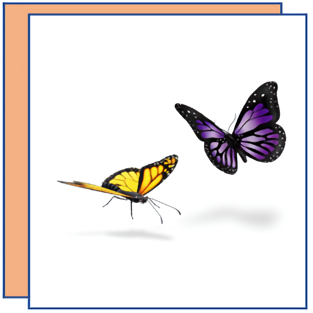 Grußkarten Greeting cards