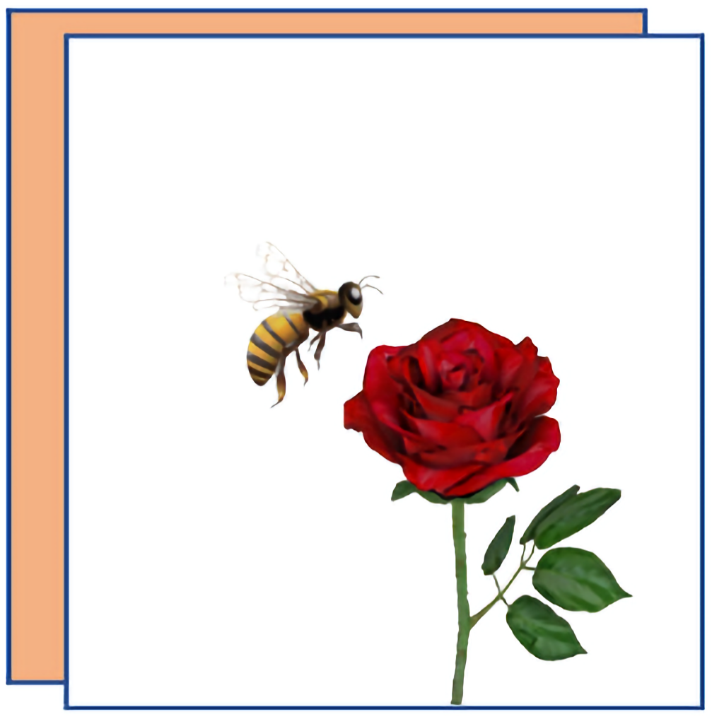 Grußkarten Greeting cards